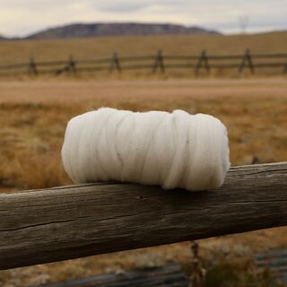 100% Alpaca Roving White Grade 0 7oz