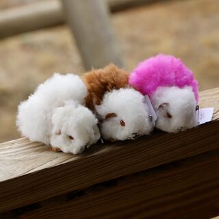 100% Alpaca Guinea Pigs