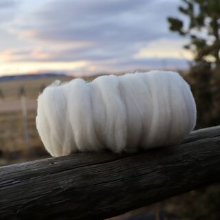 100% Alpaca Roving White Grade 0 8.4oz