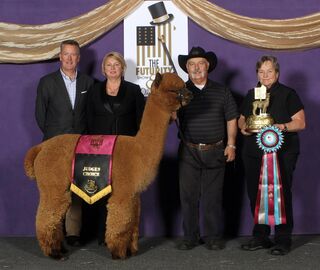 Herdsire Winning Awards