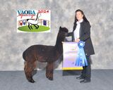 VAOBA Alpaca Expo, Reserve Champion 2024