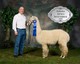 Blue Ribbon 2008 Indiana Alpaca Invitational