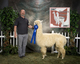 Blue Ribbon 2007 Buckeye Alpaca Show