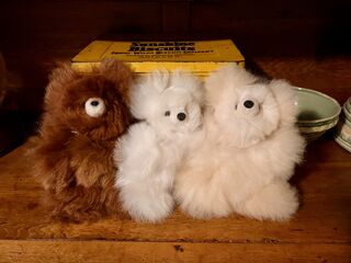 Small Alpaca Teddy Bears