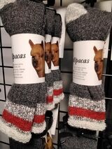 Photo of Alpaca Terry Grey/Red Socks