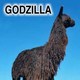 Pezilla's sire Godzilla