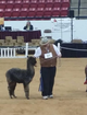 2015 TXOLAN show, 1st place