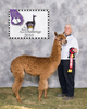 AMASYING GLORY AHHH, 1ST CRIA BY WHITE MOM, LADY MAISY