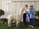 Satin's first cria: Prodigious