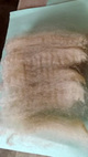 yearling fleece