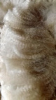 yearling fleece-bright bundling