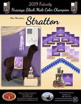 Bushido’s Sire - Clear Mountain’s Stratton