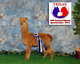 Penelope - A Liza & Prosecco cria