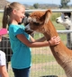 Crystal greeting a friend :)