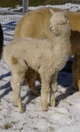 2013 cria - My Serenity