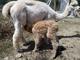 Got Milk (2012 cria)