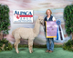 AOA National Alpaca Show 2017