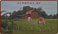 Alpacas at Cherry Run, LLC - Logo