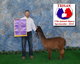 2015 Cria - Jet's Cara