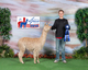 Micah - Duchess 2013 cria. WOW!!!