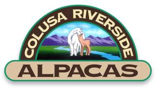 Colusa Riverside Alpacas - Logo