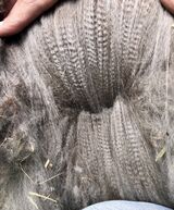 Triple Greyce fiber