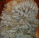 Juvie fleece - so dense, soft, bright and luscious!