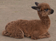 Ava's 2014 cria, Avenger