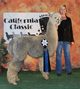 Sebie winning a blue ribbon at the 2014 California Classic