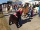 Houston parade 2013