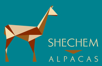 Shechem Alpacas - Logo