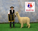 Mozzie 2019 Best Bred and Owned TXOLAN 2019