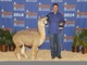 Color Champion at 2014 Houston Livestock show and Rodeo