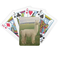 Alpaca Playing Cards