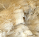 Kusa Fleece 2009