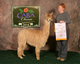 Her 2nd cria by Chaska, Reserve at Caba