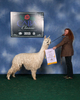 Her first cria by Chaska  Reserve at Caba