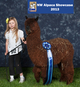 NWAS Youth Showmanship 