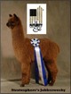 Strat Cria - Jabberwocky owned by Lasson the Moon Alpacas