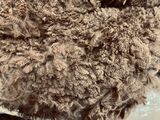 Shorn Juvie Fleece