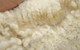 2011 cria's fleece - stunning - take him to white!