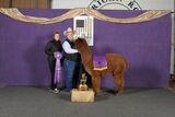 PRTI Valita Futurity Champion