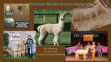 Skeeter's Sire: CM Accoyo Augustine