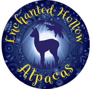 Enchanted Hollow Boutique - Logo