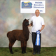 1st Blue Ribbon Cria