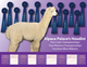 Service Sire: Alpaca Palace's Houdini