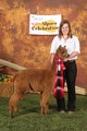 Cashel's 2012 cria by Corazon de la Rosa