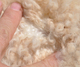 Cria Fleece