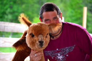 Alpaca hugs tour