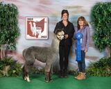 2023 Buckeye Alpaca Spring Show